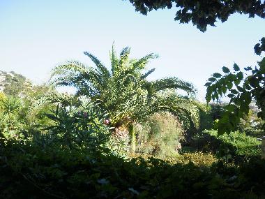 Apartamento de vacaciones en Bormes les Mimosas (Var)Casa de vacaciones