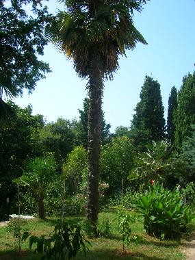 Apartamento de vacaciones en Pula (Istarska)Casa de vacaciones