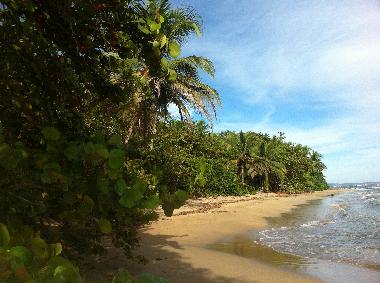 Casa de vacaciones en Puerto Viejo (Limon)Casa de vacaciones