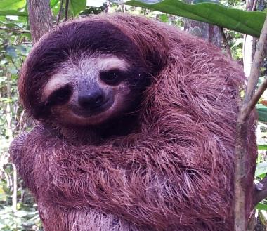 Casa de vacaciones en Puerto Viejo (Limon)Casa de vacaciones