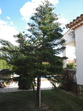 Villa en Miami Playa (Tarragona)Casa de vacaciones