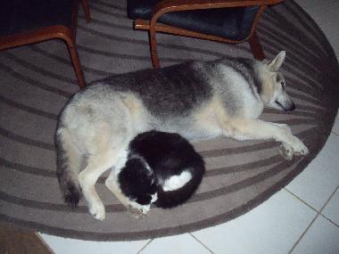 Casa de vacaciones en Los Valles-Teguise (Lanzarote)Casa de vacaciones