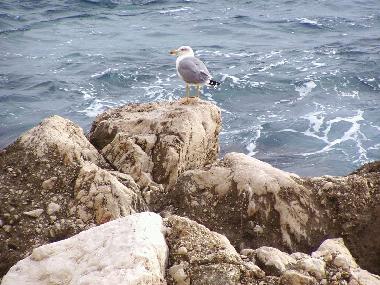 Casa de vacaciones en Calpe (Alicante / Alacant)Casa de vacaciones