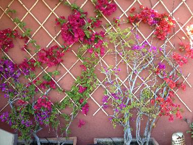 Apartamento de vacaciones en Rome (Roma)Casa de vacaciones