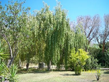 Apartamento de vacaciones en Budoni (Olbia-Tempio)Casa de vacaciones
