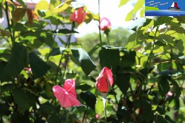 Apartamento de vacaciones en Ohrid (Ohrid)Casa de vacaciones