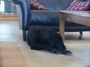 Cama y desayuno en Vimieiro (Alentejo Central)Casa de vacaciones