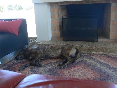 Cama y desayuno en Vimieiro (Alentejo Central)Casa de vacaciones