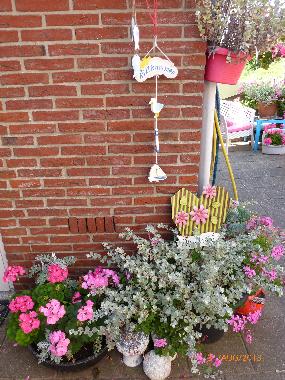 Apartamento de vacaciones en Egmond aan Zee (Noord-Holland)Casa de vacaciones