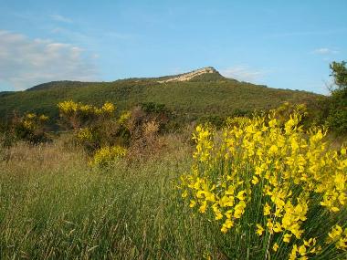 Villa en La Tour sur Orb (Hrault)Casa de vacaciones