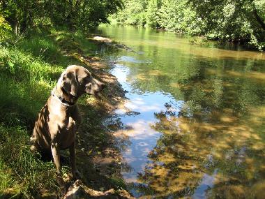 Villa en La Tour sur Orb (Hrault)Casa de vacaciones