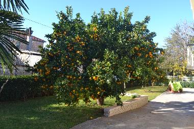 Apartamento de vacaciones en Zadar (Zadarska)Casa de vacaciones