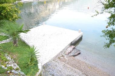 Apartamento de vacaciones en Donji Morinj E65 Montenegro (Montenegro)Casa de vacaciones