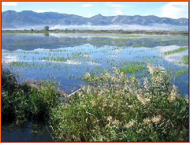 Casa de vacaciones en Oliva (Valencia / Val�ncia)Casa de vacaciones