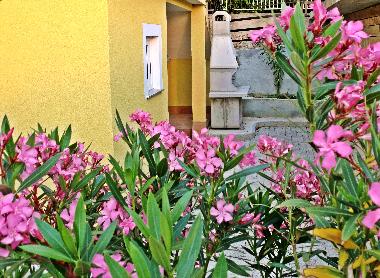 Apartamento de vacaciones en Murter (Sibensko-Kninska)Casa de vacaciones