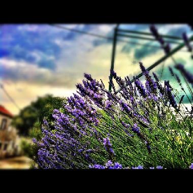 Apartamento de vacaciones en Murter (Sibensko-Kninska)Casa de vacaciones