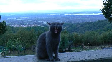 Cama y desayuno en Candeleda (vila)Casa de vacaciones
