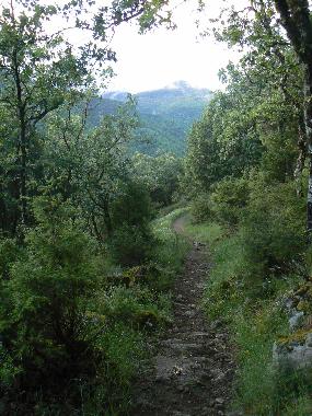 Cama y desayuno en Candeleda (vila)Casa de vacaciones