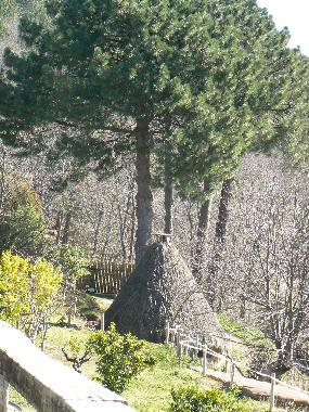 Cama y desayuno en Candeleda (vila)Casa de vacaciones