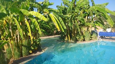 Cama y desayuno en marrakech (Marrakech)Casa de vacaciones