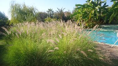 Cama y desayuno en marrakech (Marrakech)Casa de vacaciones