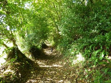 Casa de vacaciones en Bude (South West)Casa de vacaciones