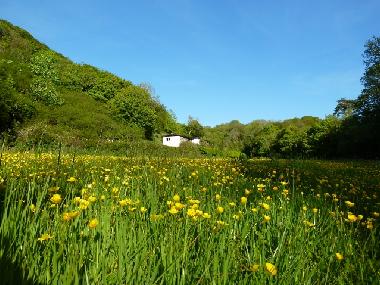 Casa de vacaciones en Bude (South West)Casa de vacaciones