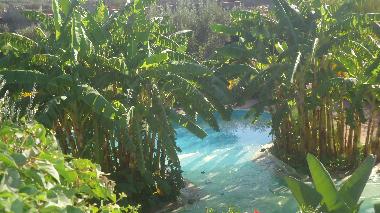 Cama y desayuno en marrakech (Marrakech)Casa de vacaciones