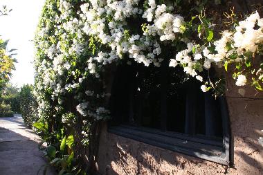Cama y desayuno en marrakech (Marrakech)Casa de vacaciones