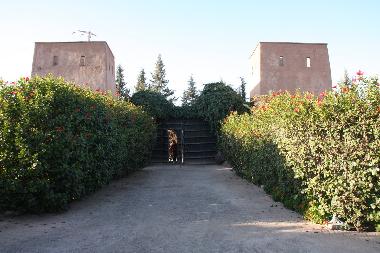 Cama y desayuno en marrakech (Marrakech)Casa de vacaciones