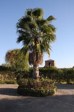 Cama y desayuno en marrakech (Marrakech)Casa de vacaciones