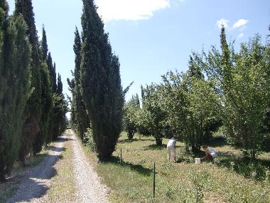 Casa de vacaciones en Salles d'Aude (Aude)Casa de vacaciones
