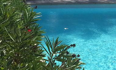 Apartamento de vacaciones en Lama (Haute-Corse)Casa de vacaciones