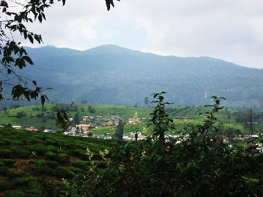 Casa de vacaciones en Nuwaraeliya (Nuwara Eliya)Casa de vacaciones