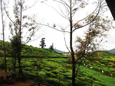 Casa de vacaciones en Nuwaraeliya (Nuwara Eliya)Casa de vacaciones