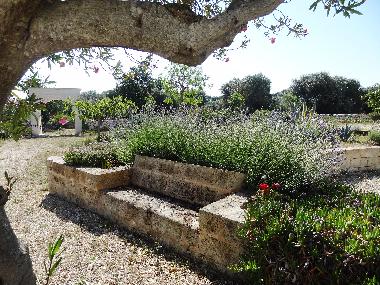 Casa de vacaciones en Francavilla Fontana (Brindisi)Casa de vacaciones