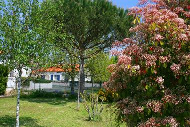 Apartamento de vacaciones en Dompierre sur mer (Charente-Maritime)Casa de vacaciones