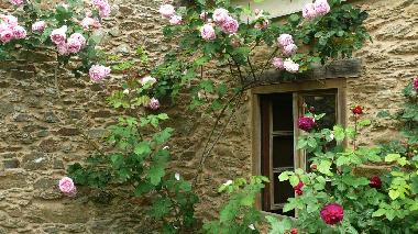 Casa de vacaciones en Ortigueira (A Corua)Casa de vacaciones