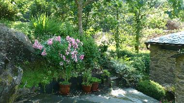 Casa de vacaciones en Ortigueira (A Corua)Casa de vacaciones