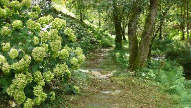 Casa de vacaciones en Ortigueira (A Corua)Casa de vacaciones