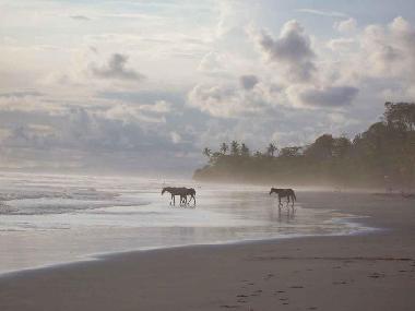 Villa en Mal Pa�s (Puntarenas)Casa de vacaciones