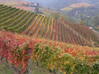 Casa de vacaciones en Alba (Cuneo)Casa de vacaciones