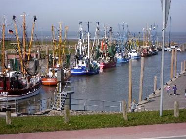 Apartamento de vacaciones en Dorum-Neufeld (Nordsee-Festland / Ostfriesland)Casa de vacaciones