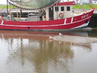 Apartamento de vacaciones en Dorum-Neufeld (Nordsee-Festland / Ostfriesland)Casa de vacaciones