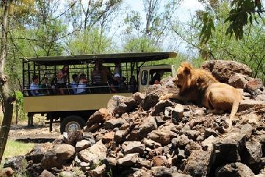 Apartamento de vacaciones en FLIC EN FLAC (Black River)Casa de vacaciones