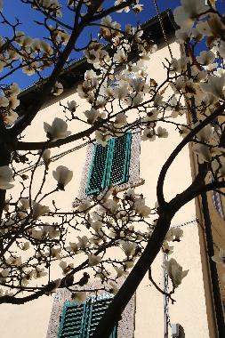 Apartamento de vacaciones en Lucca (Lucca)Casa de vacaciones