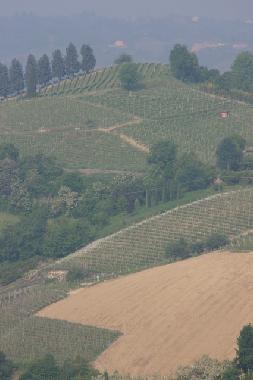 Casa de vacaciones en Canale (Cuneo)Casa de vacaciones