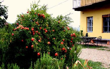 Casa de vacaciones en Canale (Cuneo)Casa de vacaciones