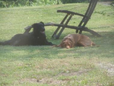 Cama y desayuno en Canale (Cuneo)Casa de vacaciones