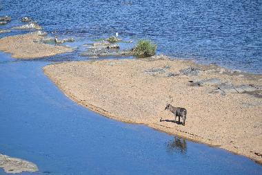 Casa de vacaciones en Marloth Park (Mpumalanga)Casa de vacaciones